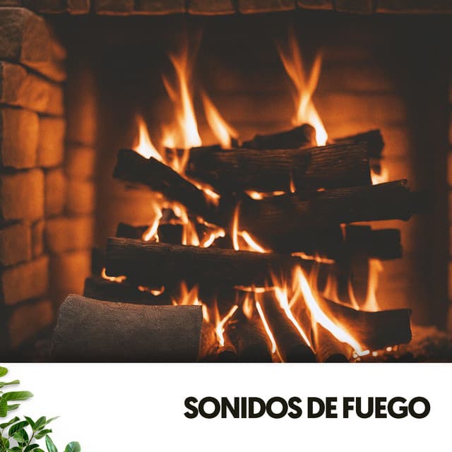 Sonidos de Fuego: Nocturno de Serenidad - Cat Music