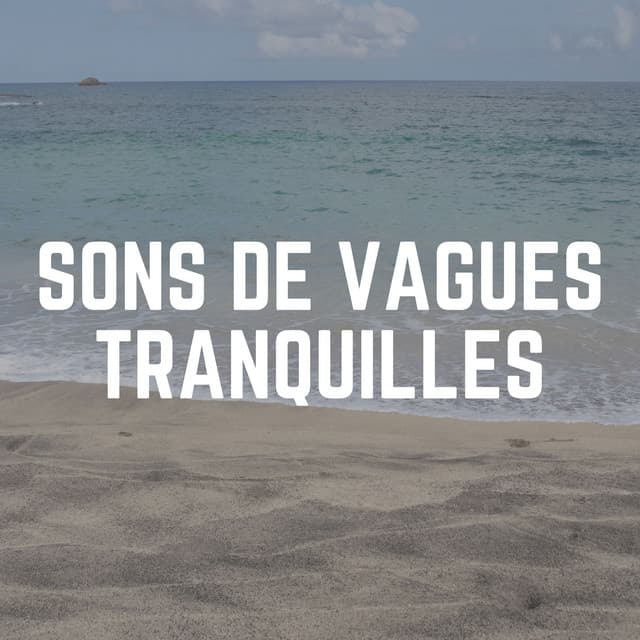 Sons de Vagues Tranquilles - Vagues Dans La Mer