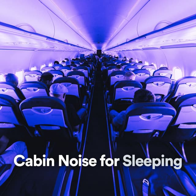 Plane Cabin Sound