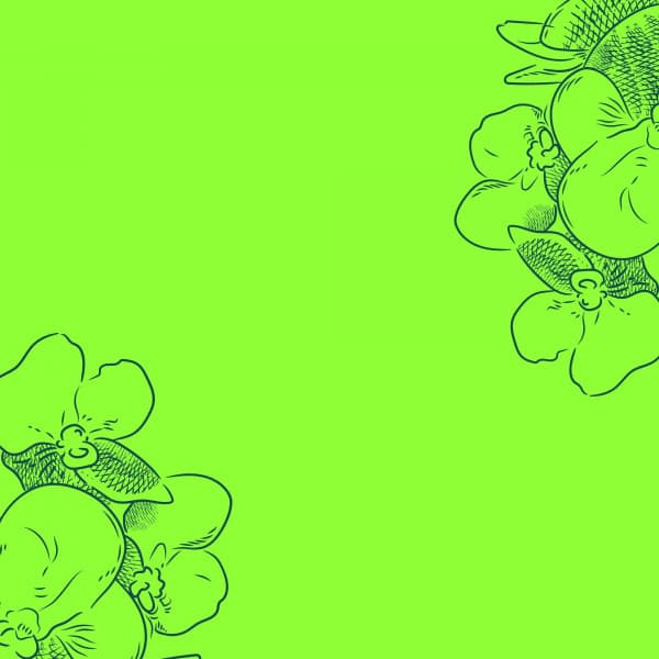 Jazz Piano Duo - Background for Sitting Back Jazz - Bossa Nova Jazz Lounge