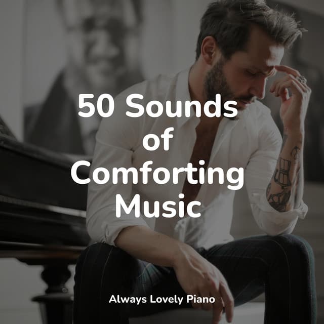 50 Sounds of Comforting Music - Piano Bar Music Specialists