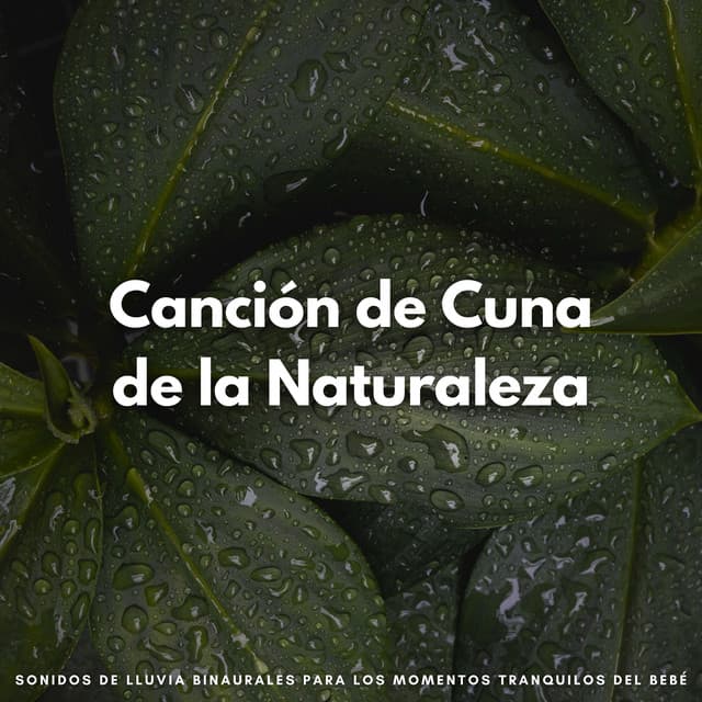 Canción De Cuna De La Naturaleza: Sonidos De Lluvia Binaurales Para Los Momentos Tranquilos Del Bebé - Ruido de Lluvia