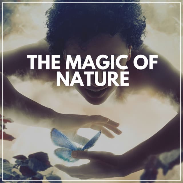 The Magic of Nature - Organic Nature Sounds