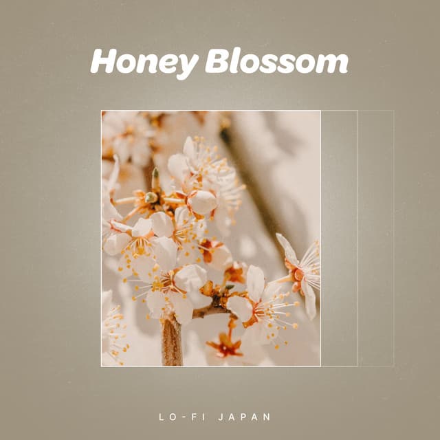 Honey Blossom - Lo-Fi Japan