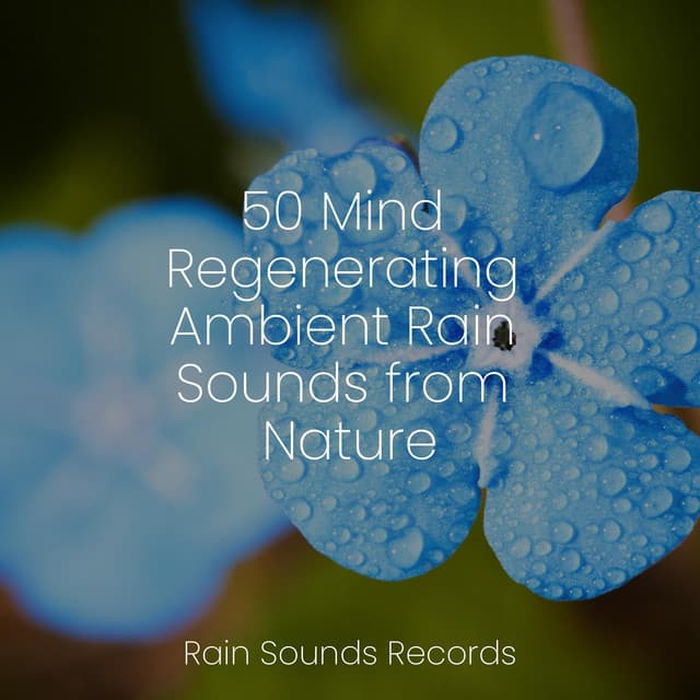 50 Mind Regenerating Ambient Rain Sounds from Nature - Musica Romantica