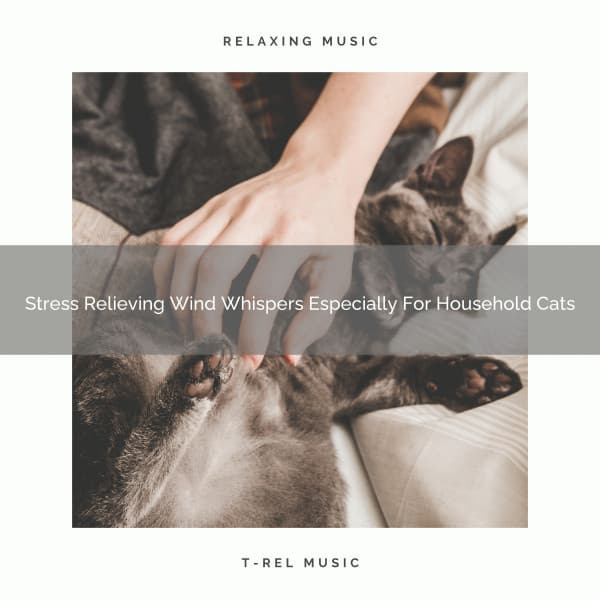 Stress Relieving Wind Whispers Especially For Household Cats - Pets Total Relax
