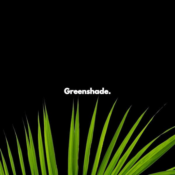 Greenshade. - Jazz Afternoons
