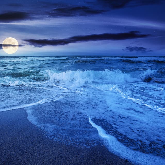 Nature Sounds by Night: Sleep & Relaxation - Sounds of Nature Noise