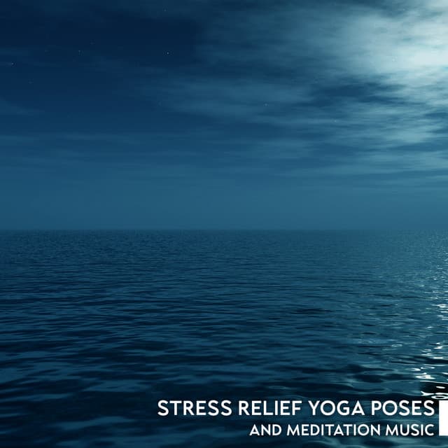 Stress Relief Yoga Poses and Meditation Music to Fall Asleep: Self-Awareness, Sleep is the Best Meditation, Calm Sleeping Music - Relax Yoga Music Meditation