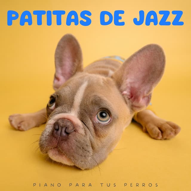 Patitas De Jazz: Piano Para Tus Perros - Jazz instrumental de fondo