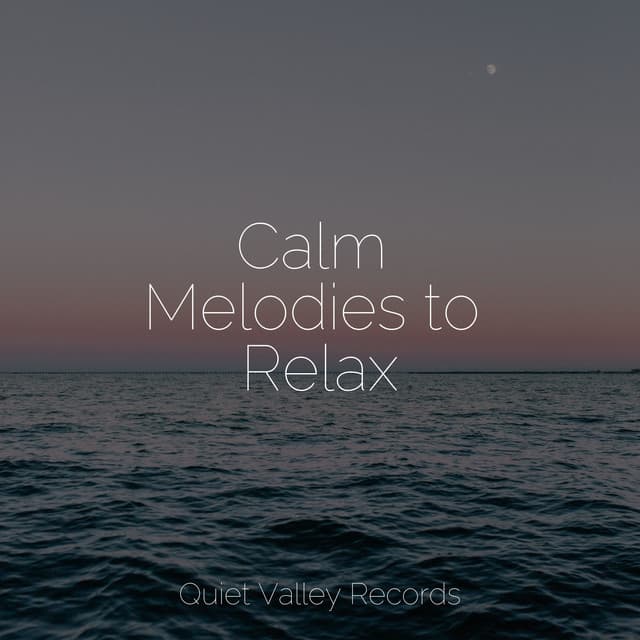 Calm Melodies to Relax - Unforgettable Paradise SPA Music Academy