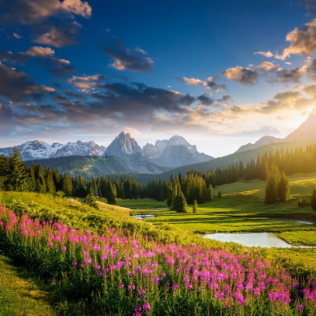 Tonos Suaves: Música Lofi Revelada - Música de alta calidad para Salón de Té