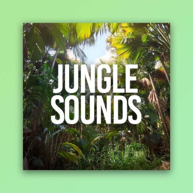 Jungle Sounds - ASMR Earth