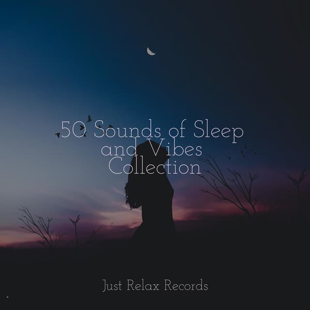 50 Sounds of Sleep and Vibes Collection - Meditación