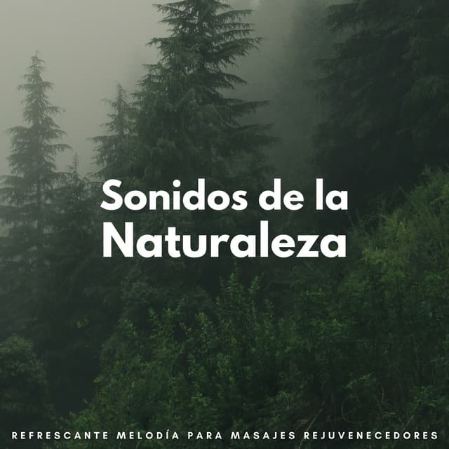 Sonidos De La Naturaleza: Refrescante Melodía Para Masajes Rejuvenecedores - Últimos sonidos de la naturaleza
