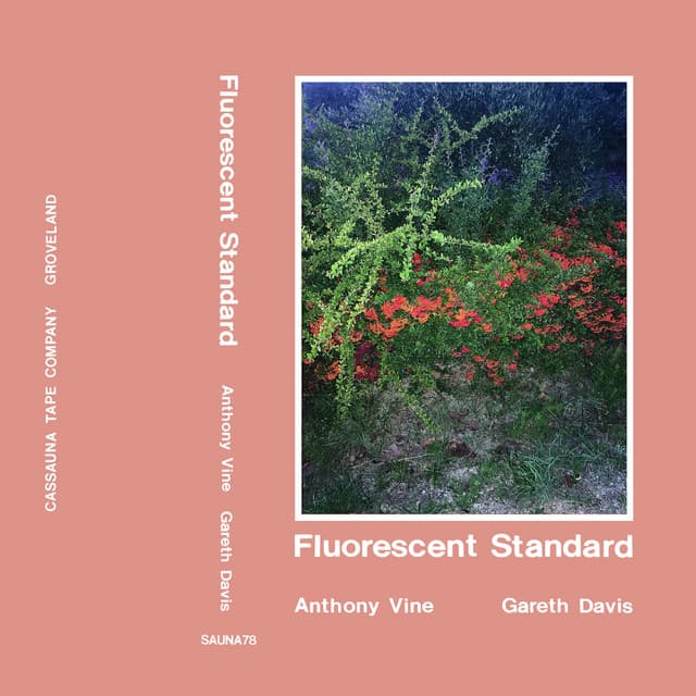 Fluorescent Standard - Anthony Vine