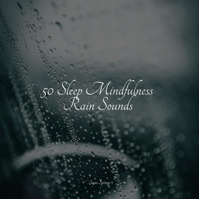50 Sleep Mindfulness Rain Sounds - Rainforest