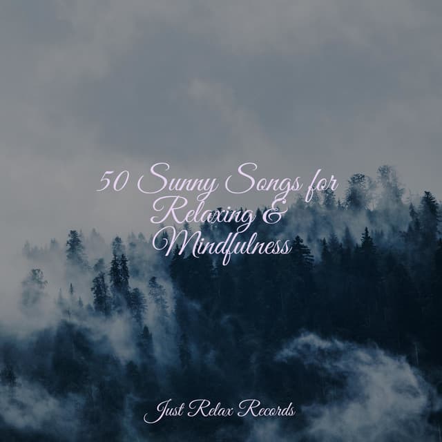 50 Sunny Songs for Relaxing & Mindfulness - Música Para Meditar y Relajarse