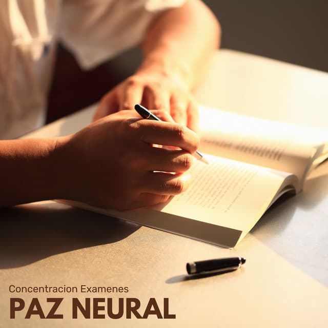 Paz Neural: Música de Estudio - Concentracion Examenes