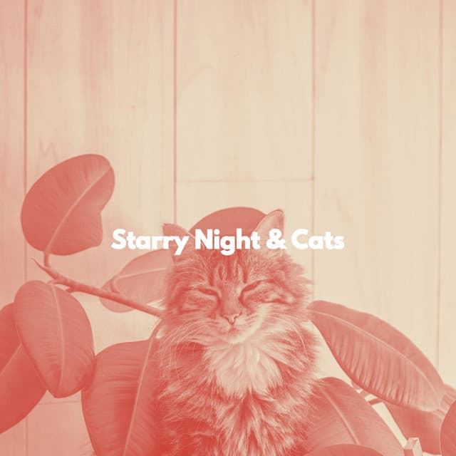 Starry Night & Cats - Música para dormir Gatos