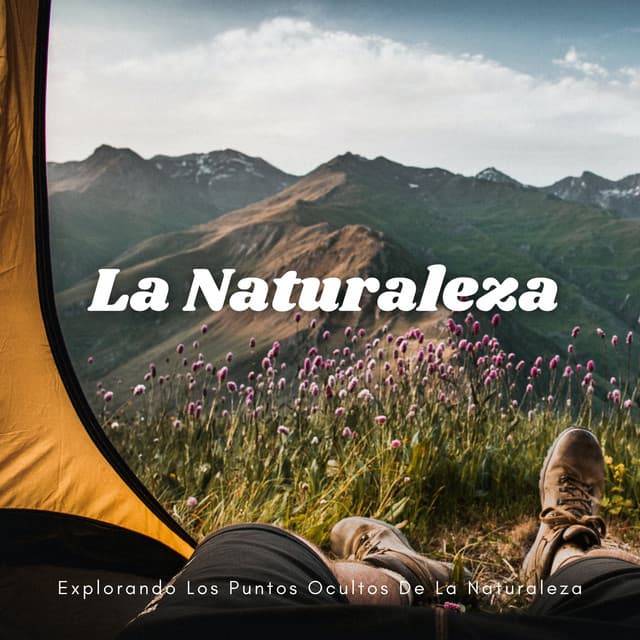 Explorando Los Puntos Ocultos De La Naturaleza - Biblioteca XLE de sonidos de la naturaleza