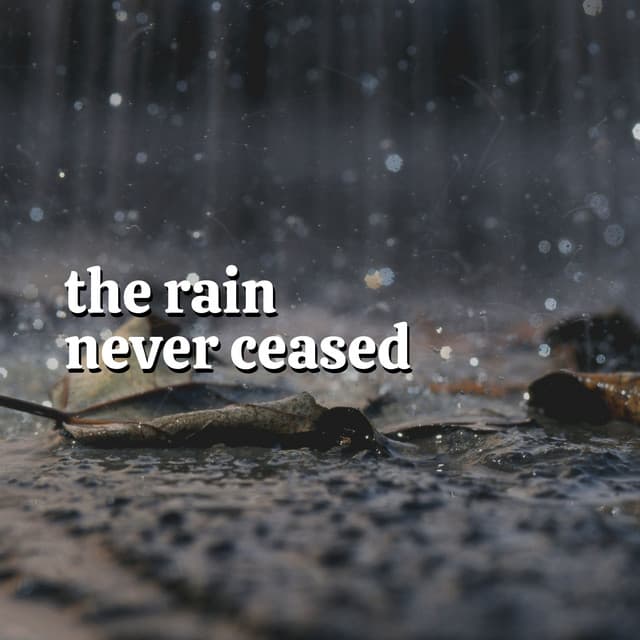 The Rain Never Ceased - The Nature Soundscapes