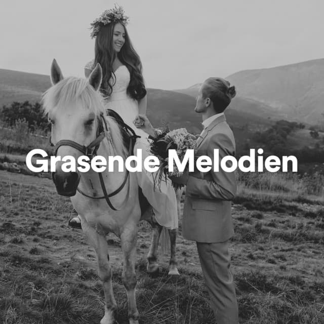 Kaffee Gewissen - Weißes Rauschen