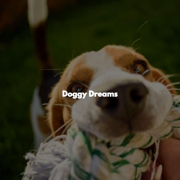 Doggy Dreams - Jazz for Work