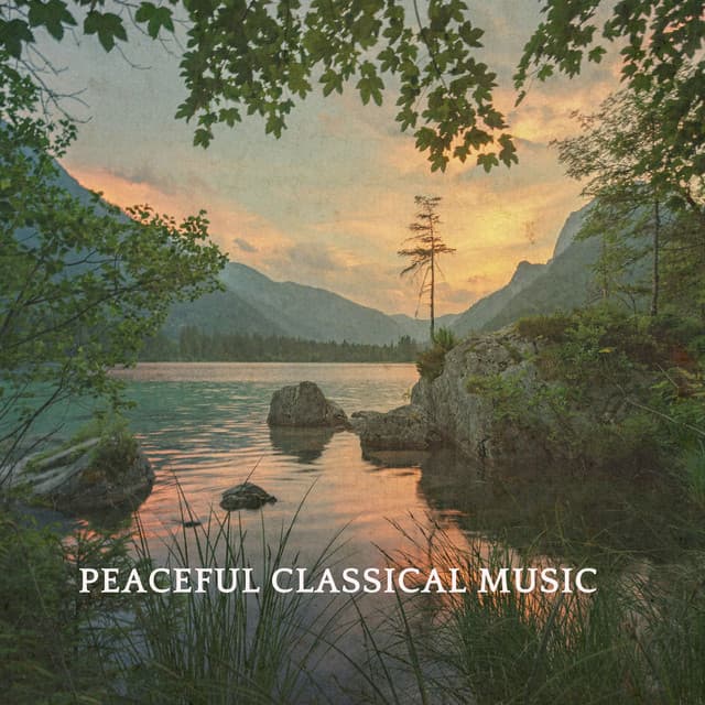Peaceful Classical Music - Johann Sebastian Bach