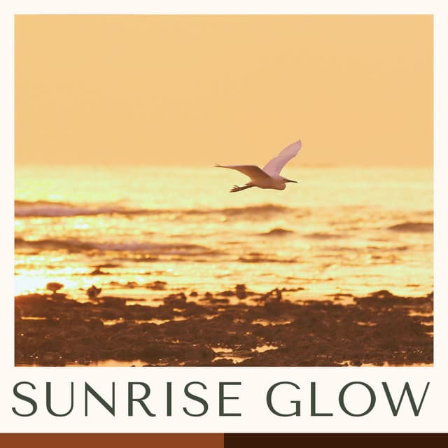 Sunrise Glow: Best Bossa Nova Music - Bossa Nova Cafe Music