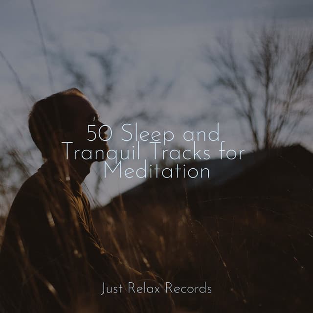 50 Sleep and Tranquil Tracks for Meditation - Rest & Relax Nature Sounds Artists