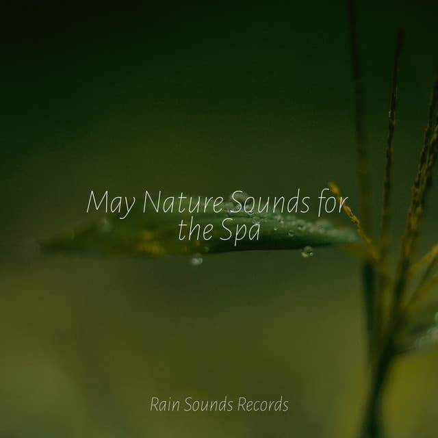 May Nature Sounds for the Spa - Canciones de Cuna para Bebés Acadèmico