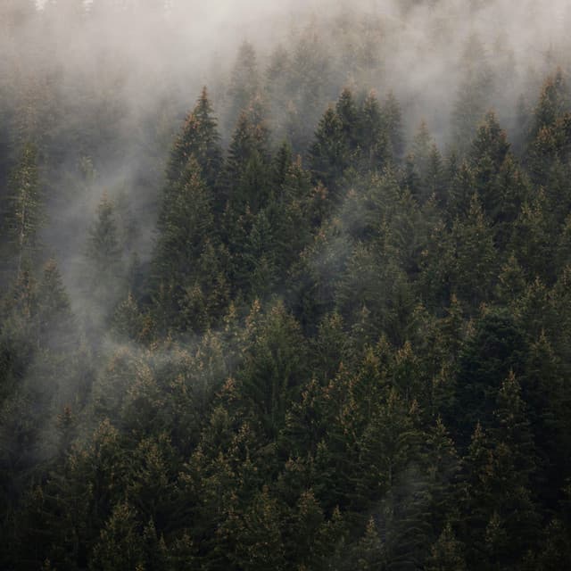 12AM Showers: Songs For Sleep - Meditation Rain Sounds