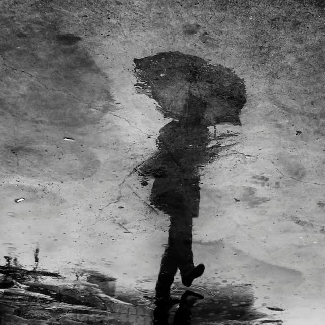 Rain's Embrace: Theta Waves, Rain Journey - Healing Rain Sound Academy