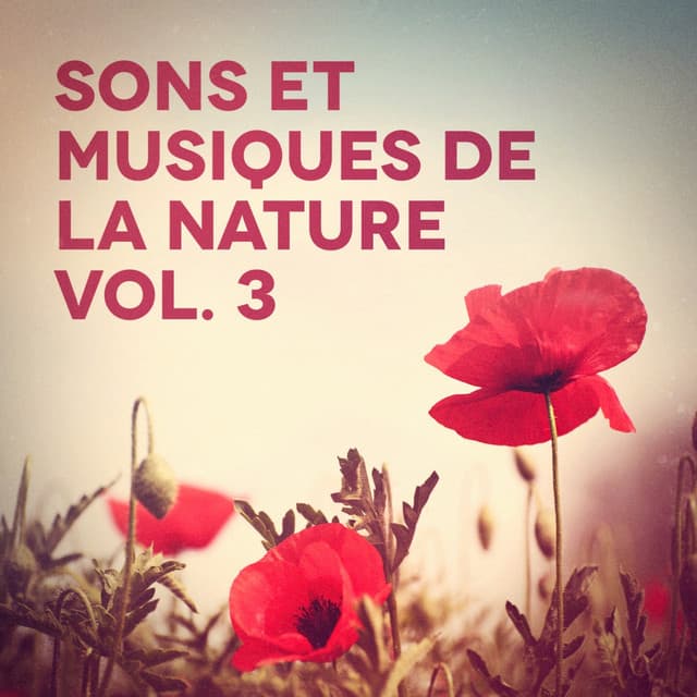 Sons et musiques de la nature, Vol. 3 - Oasis de Détente et Relaxation