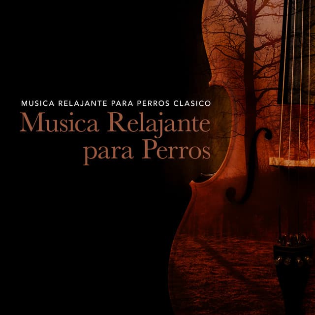 Musica Relajante para Perros Clasico