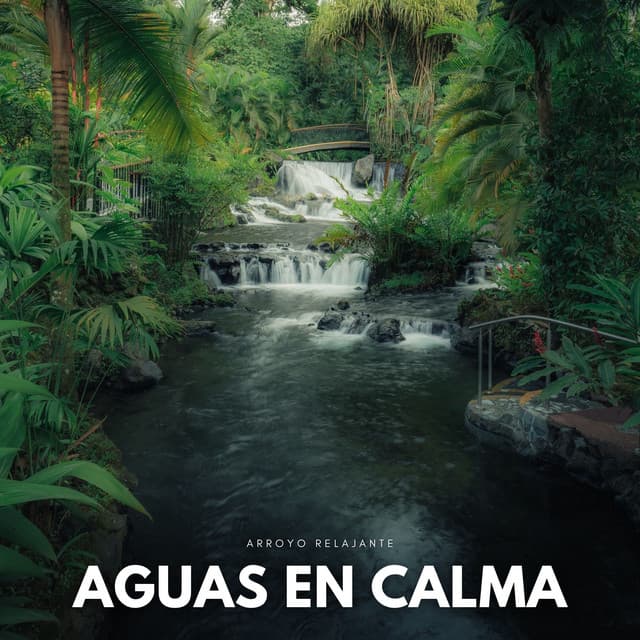 Aguas En Calma: Arroyo Relajante - Efectos de agua