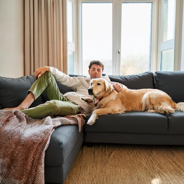 Melodías De Compañía: Música Para El Ocio De Las Mascotas - Naturaleza Sonora