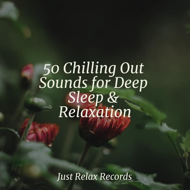 50 Chilling Out Sounds for Deep Sleep & Relaxation - Meditation