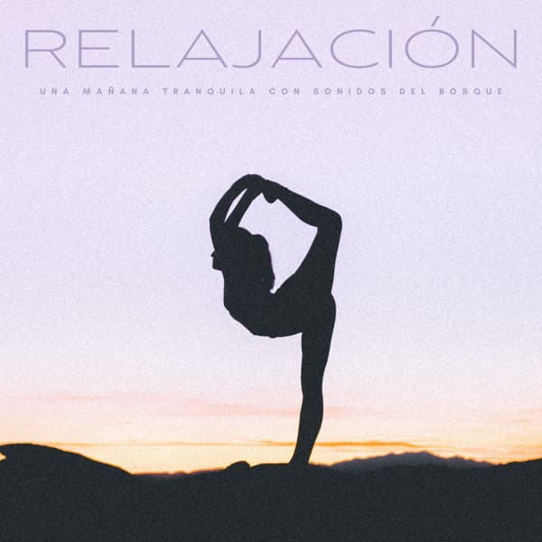 Música para momentos de tranquilidad