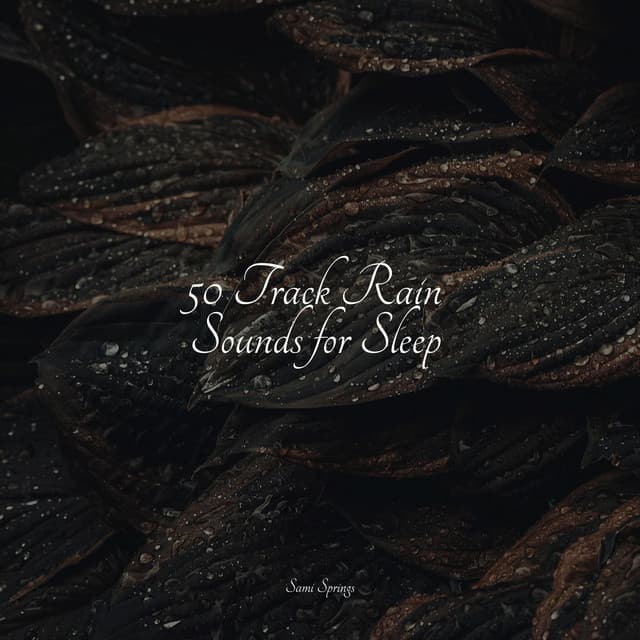 50 Track Rain Sounds for Sleep - Lullabies for Deep Meditation