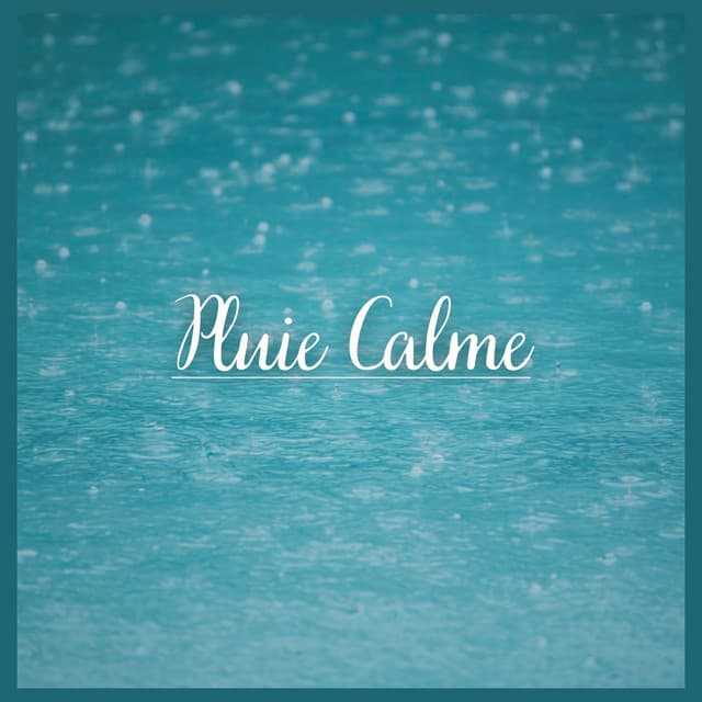 Pluie Calme - Sons De Pluie