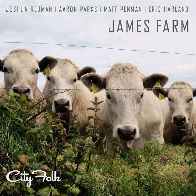 City Folk - Joshua Redman