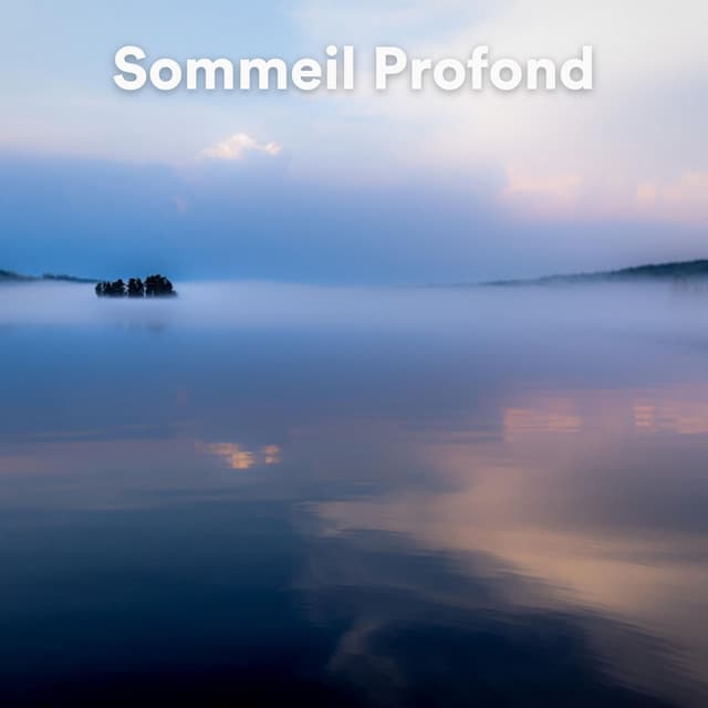 Sommeil Profond - Zen Méditation Académie