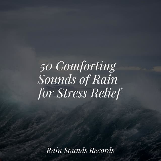 50 Comforting Sounds of Rain for Stress Relief - Forest Sounds