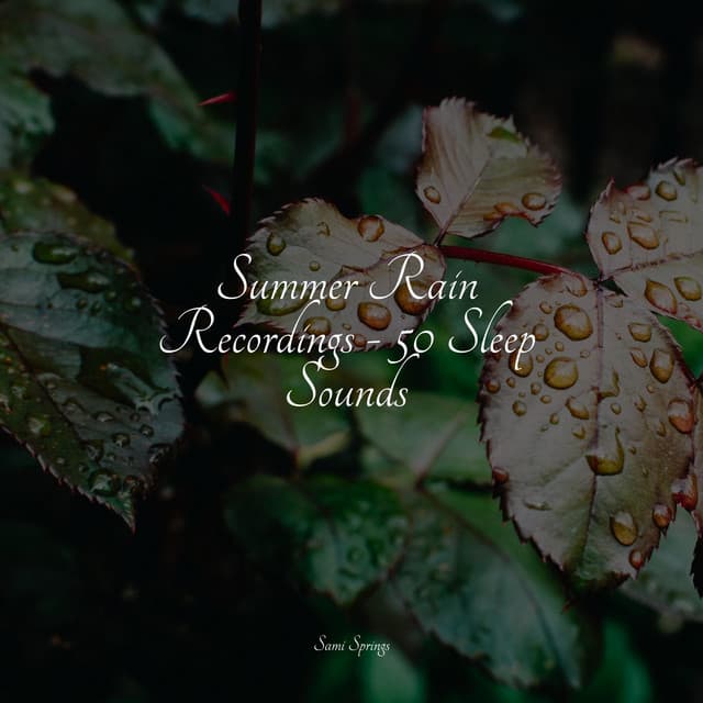 Summer Rain Recordings - 50 Sleep Sounds - Ambient Arena