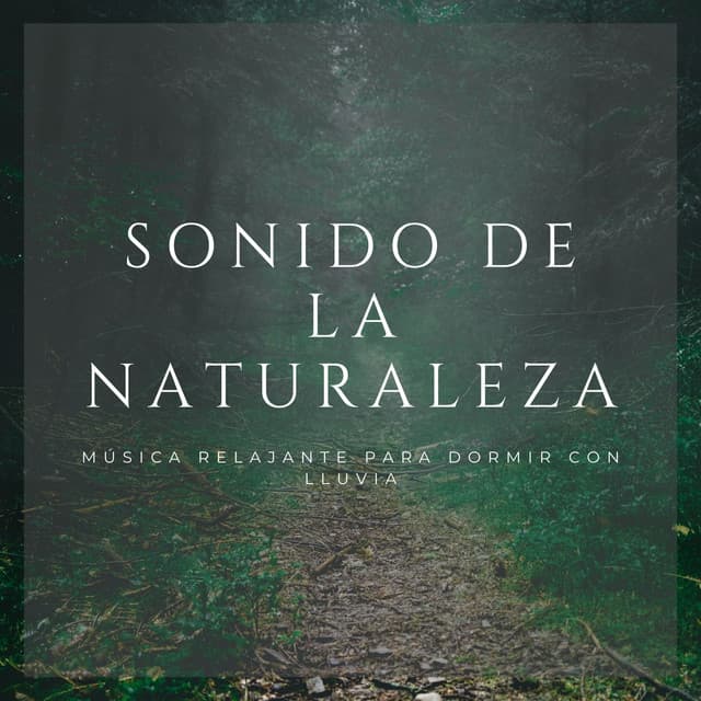 Sonido De La Naturaleza: Música Relajante Para Dormir Con Lluvia - Sonidos de lluvia y tormentas fuertes