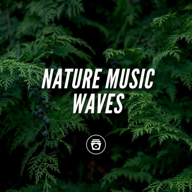 Nature Music Waves - Hypnosis Therapy