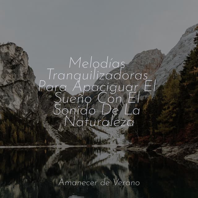 Melodías Tranquilizadoras Para Apaciguar El Sueño Con El Sonido De La Naturaleza - Chillout Lounge