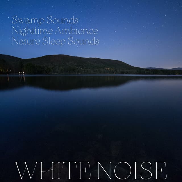 Swamp Sounds, Nighttime Ambience, Nature Sleep Sounds, White Noise, Loopable - Noise Colours